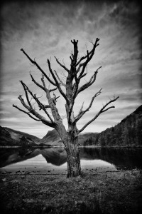 Buttermere 3
